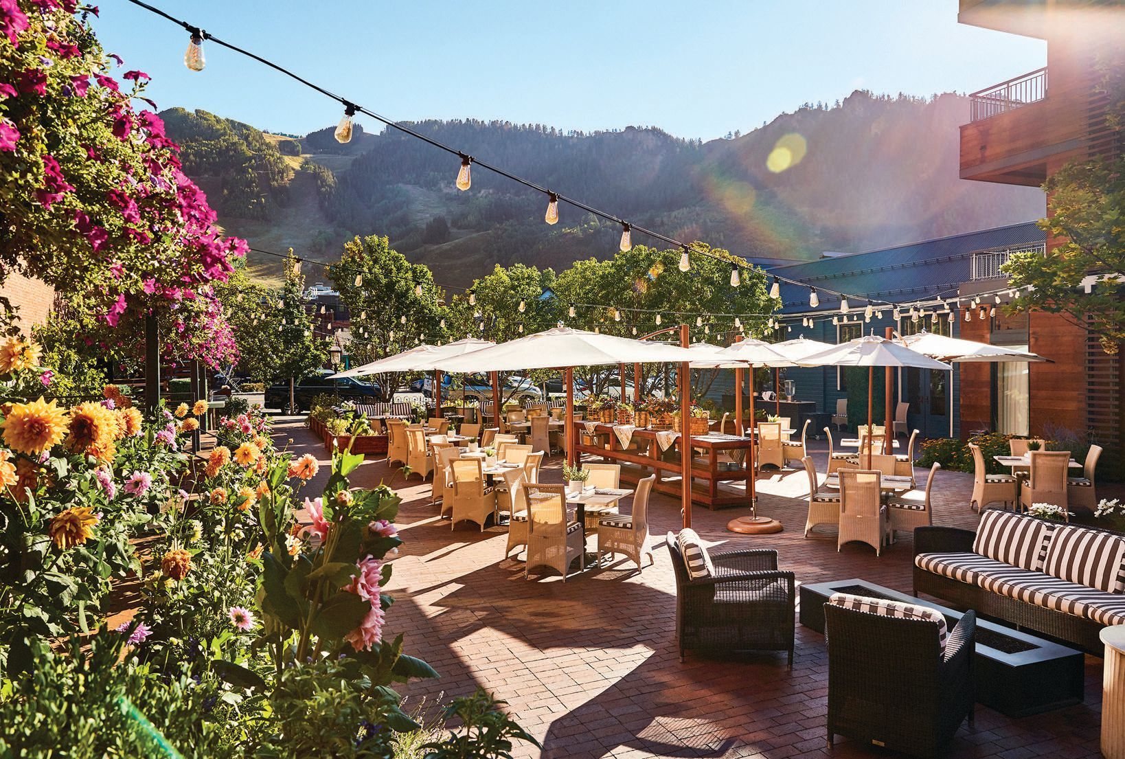 Summer Patio